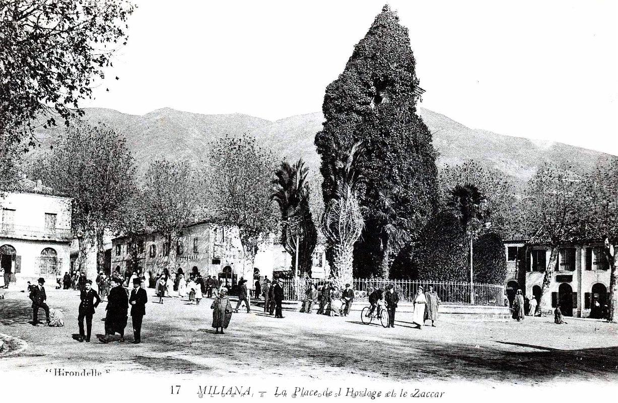 1625- Miliana - Place de l'Horloge et le Zaccar.jpg